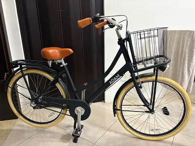 Adam Classic Style City Bicycle with Front Basket