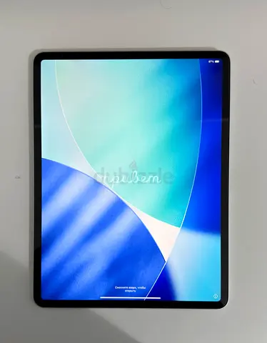 iPad Pro 12.9 256GB