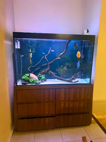 Home Aquarium with Stand and Accessories