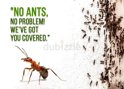 Bye-bye ants, hello comfort are ants taking over your home let us help our expert pest control servi