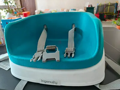 Ingenuity Portable Baby Booster Seat with Safety Straps