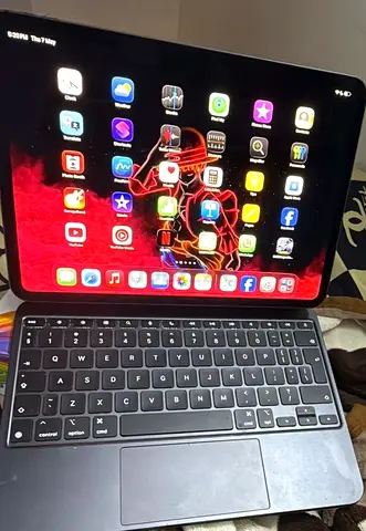 Ipad Pro M4- 256gb. 11 inches with box. Still under warranty