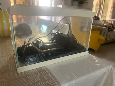 Used Fish Tank/Aquarium with Filter and Accessories