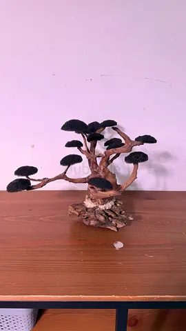 Aquarium Decor