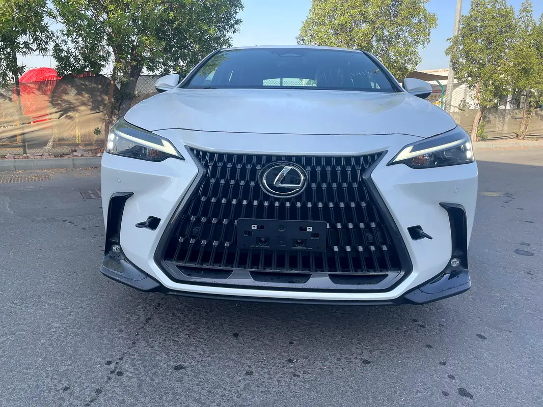 Lexus NX-Series 2025 — photo 1 of 17
