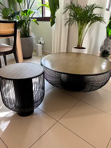 Set of 2 Round Nesting Coffee Tables with Black Wire Base and Wood Tops