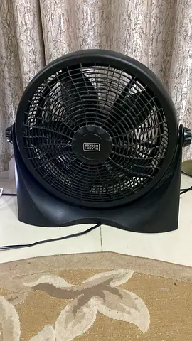 Fan