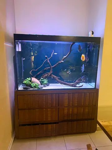 Large aquarium  good condition ( selling only empty tank) not selling the fish