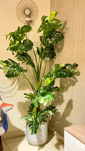 Artificial Monstera Plant with heavy pot for sale
