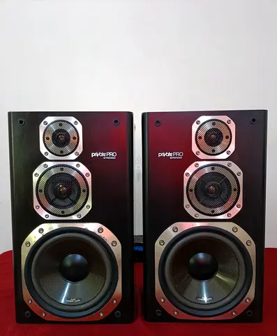 Pioneer Private Pro Speakers