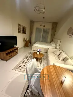 Bills Included I Upgraded I Luxury Furnished Studio