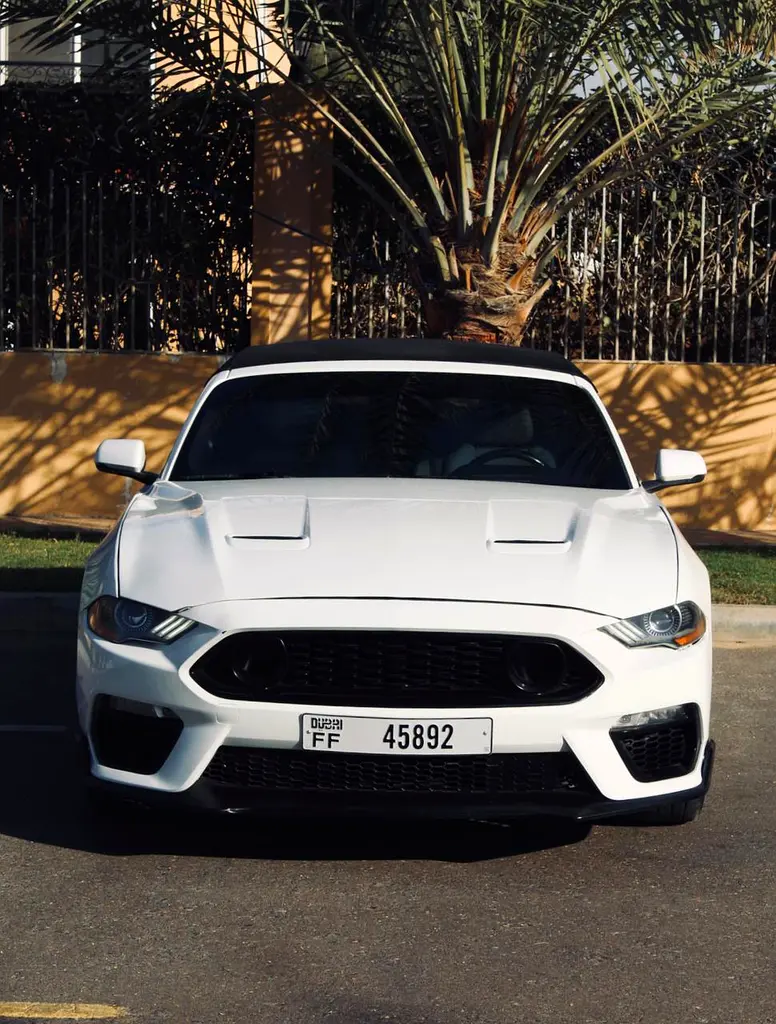 Ford Mustang 2020 — photo 1 of 17