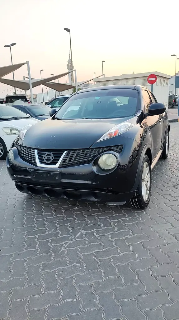 Nissan Juke 2013 — photo 1 of 19