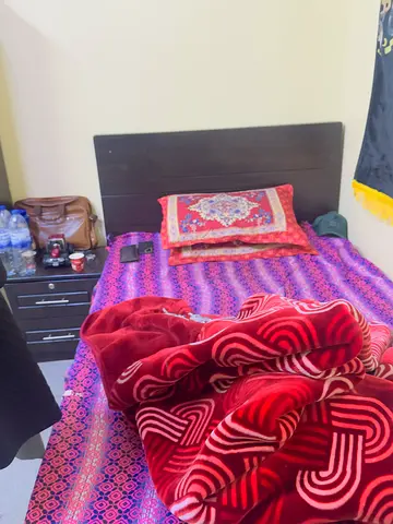 Single bed frame with headboard (used) + mattress and bedding
