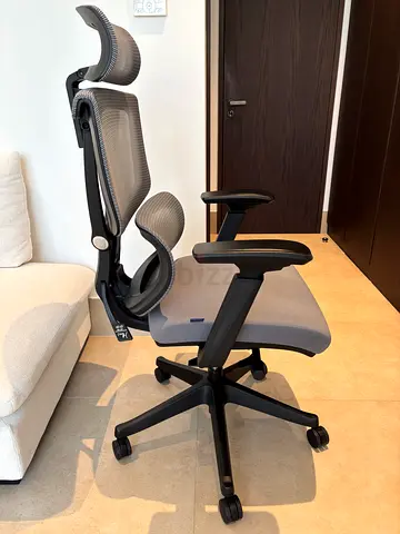 FLEXISPOT C7G Ergonomic Chair