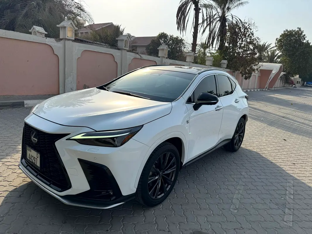 Lexus NX-Series 2023 — photo 1 of 18