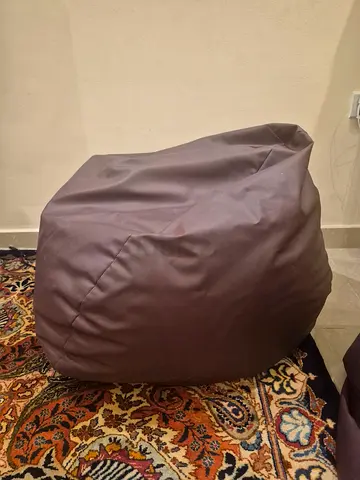Leather bean bag