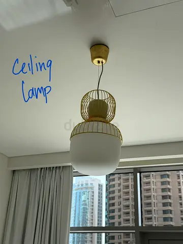 Ceiling lights