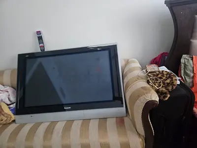 Panasonic Viera TV with Remote Control