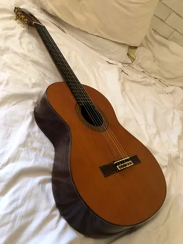 28 Year Old Cordoba Spanish Classical Guitar For Sale