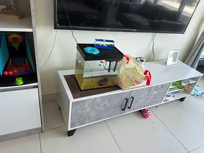 Branded TV unit with showcase