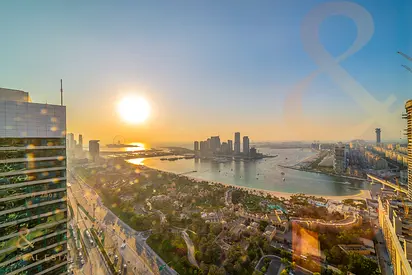 Panoramic Palm View | Fully Furnished | Vacant