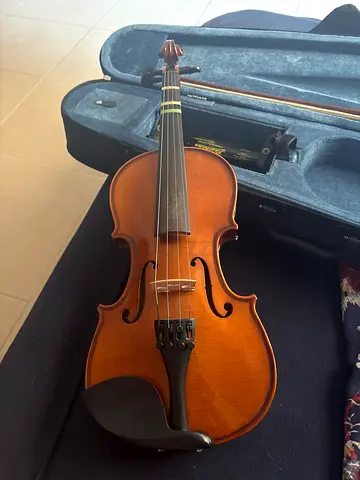 Well-kept 4/4 Acoustic Violin with Hard Case