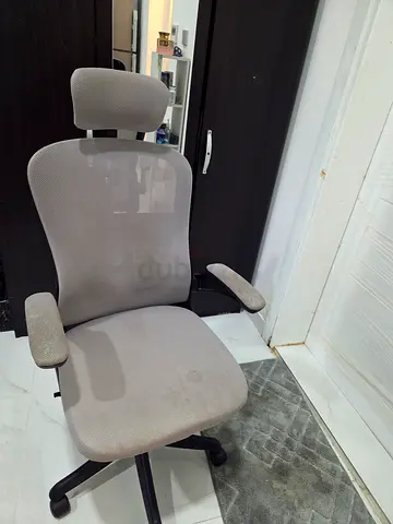 Ergonomic Mesh Office Chair with Headrest