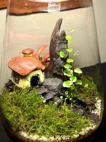 A beautifully crafted fantasy terrarium with Moss and Miniature House