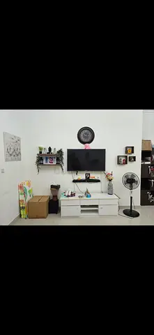 Panasonic TV (50)