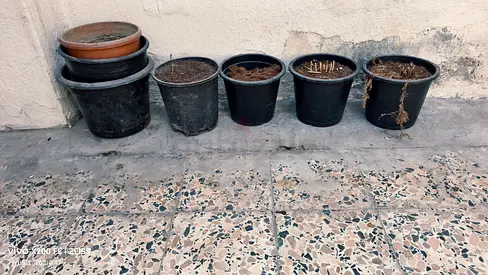 Various Size Plastic planter pots - Free