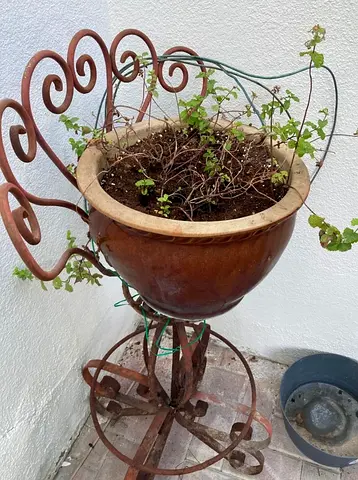 Vintage wrought iron plant stand with large ceramic planter