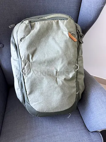 Peak Design Travel Backpack 45L in Sage