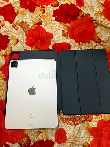 iPad Pro 11 Inch 2nd Generation