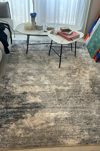 Used modern gray-beige area rug - 2.5 x 3.5m (approx)