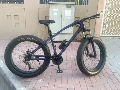 Fat bike