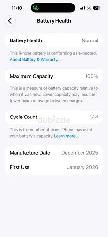 iPhone with 100% Battery Health — Lightly Used (First Used Jan 2026)