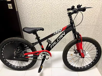 Falcan Mountain Bike for Sale