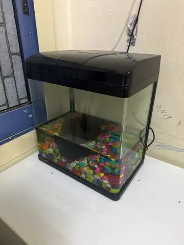 Fish tank (aquarium), light, pump with filter.