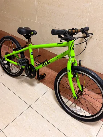 Frog 55.  20” Kids Bike