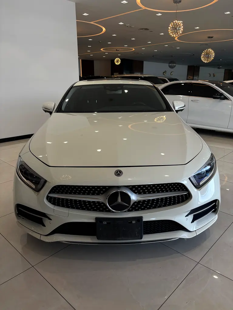 Mercedes-Benz CLS-Class 2019 — photo 1 of 10