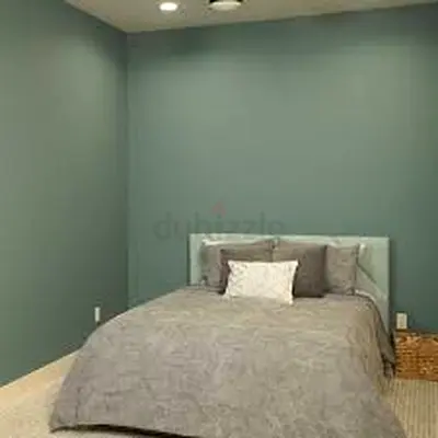Home Painting Services