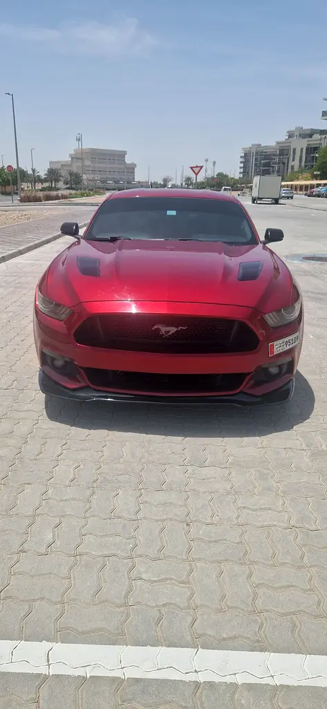 Ford Mustang 2016 — photo 1 of 10