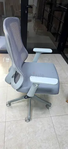 Ergonomic Mesh Office Chair with Adjustable Arms - Good Condition