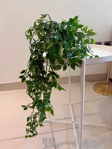 Trailing artificial pothos plant in Golden pot Ikea