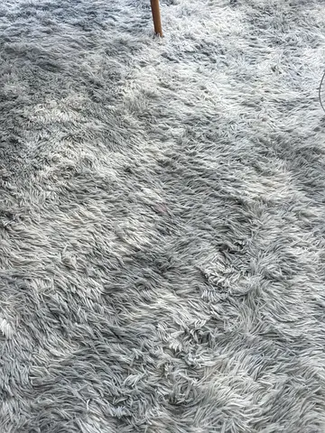 Light grey shaggy area rug — soft high-pile carpet, good condition