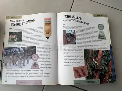 Encyclopedia book