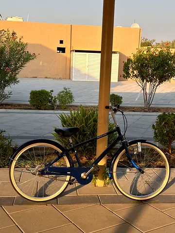 Japanese imported cycle