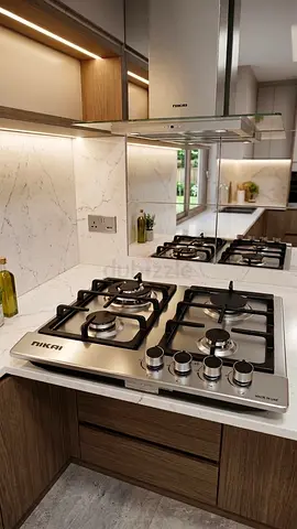 Gas stove