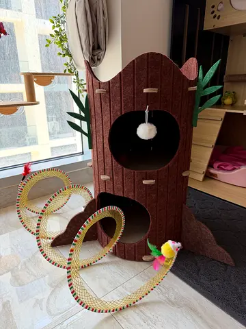 Cat toy